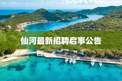仙河最新招聘启事公告