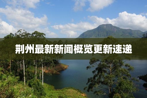 荆州最新新闻概览更新速递