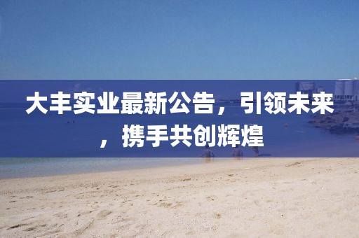 大丰实业最新公告，引领未来，携手共创辉煌