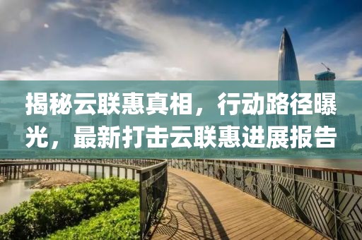 揭秘云联惠真相，行动路径曝光，最新打击云联惠进展报告