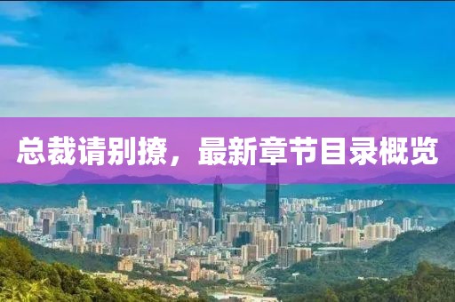 总裁请别撩，最新章节目录概览