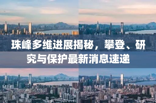 普又青 第4页