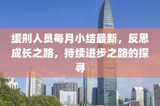 缓刑人员每月小结最新，反思成长之路，持续进步之路的探寻