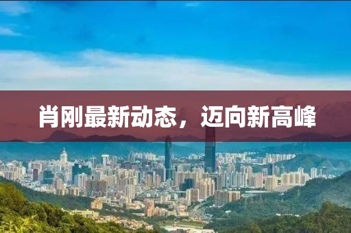 肖刚最新动态，迈向新高峰