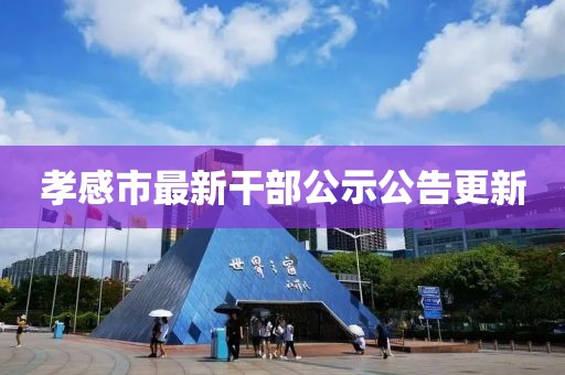 孝感市最新干部公示公告更新