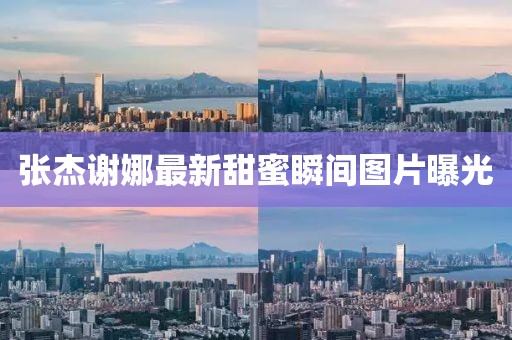 张杰谢娜最新甜蜜瞬间图片曝光