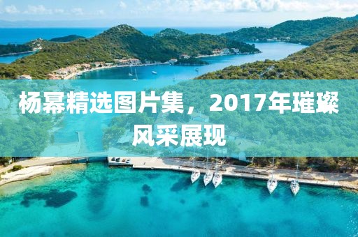 杨幂精选图片集，2017年璀璨风采展现