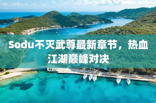 Sodu不灭武尊最新章节，热血江湖巅峰对决