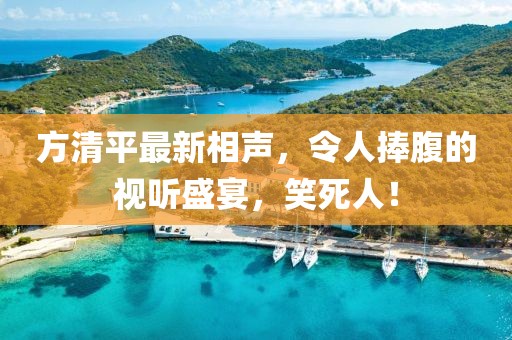 方清平最新相声，令人捧腹的视听盛宴，笑死人！