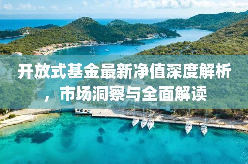 开放式基金最新净值深度解析，市场洞察与全面解读