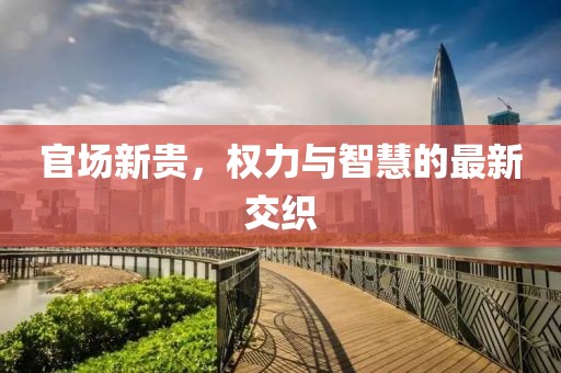 官场新贵，权力与智慧的最新交织