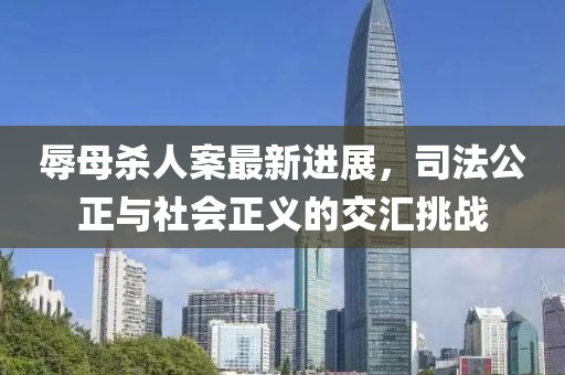 辱母杀人案最新进展，司法公正与社会正义的交汇挑战