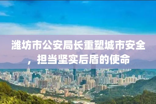潍坊市公安局长重塑城市安全，担当坚实后盾的使命