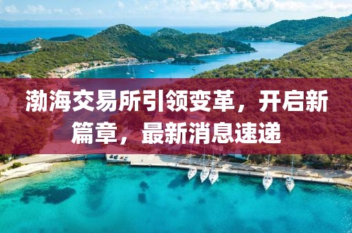 渤海交易所引领变革，开启新篇章，最新消息速递