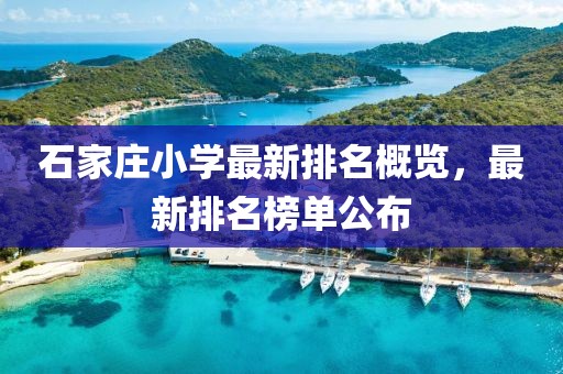 石家庄小学最新排名概览，最新排名榜单公布