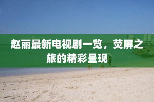 赵丽最新电视剧一览，荧屏之旅的精彩呈现