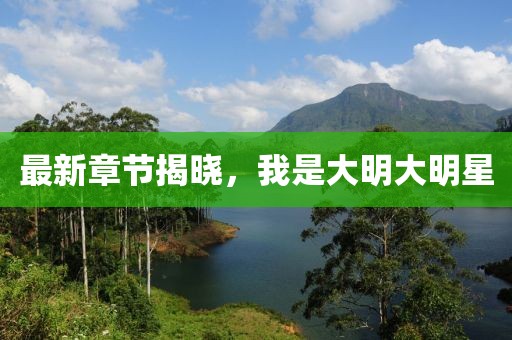 最新章节揭晓，我是大明大明星