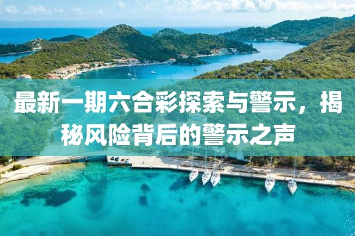 最新一期六合彩探索与警示，揭秘风险背后的警示之声