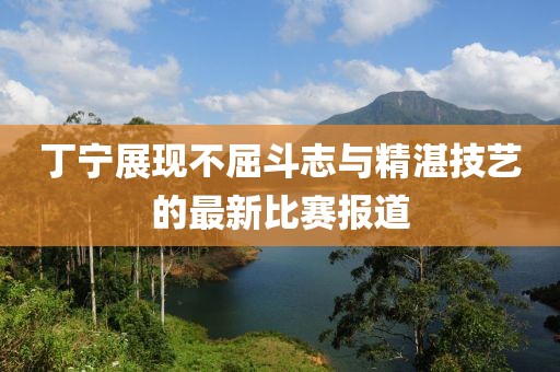 丁宁展现不屈斗志与精湛技艺的最新比赛报道