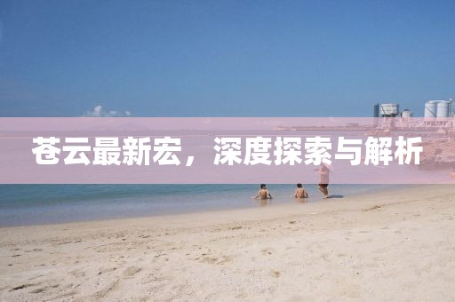 苍云最新宏，深度探索与解析