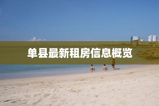 单县最新租房信息概览