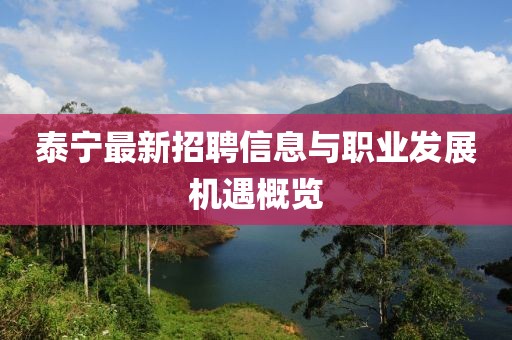 泰宁最新招聘信息与职业发展机遇概览
