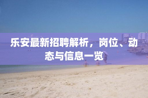 乐安最新招聘解析，岗位、动态与信息一览