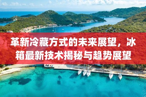 革新冷藏方式的未来展望，冰箱最新技术揭秘与趋势展望