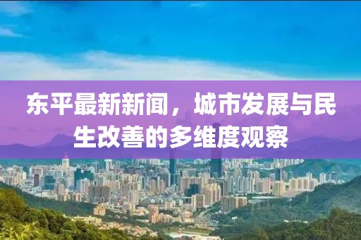 东平最新新闻，城市发展与民生改善的多维度观察