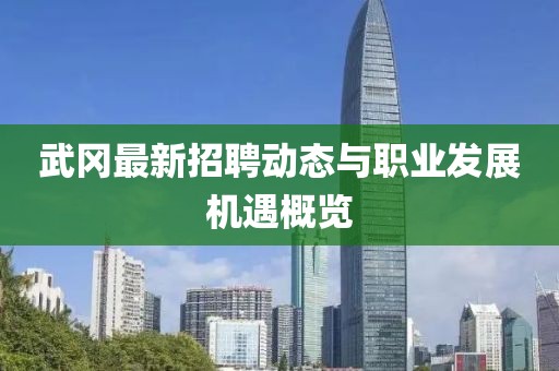 武冈最新招聘动态与职业发展机遇概览