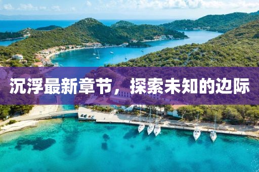 沉浮最新章节，探索未知的边际