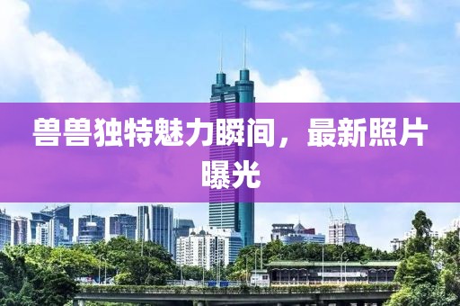 兽兽独特魅力瞬间，最新照片曝光