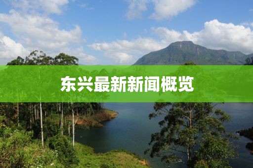 东兴最新新闻概览
