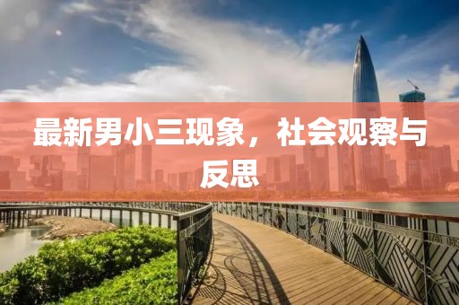最新男小三现象，社会观察与反思