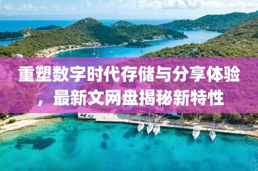 重塑数字时代存储与分享体验，最新文网盘揭秘新特性