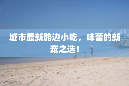 城市最新路边小吃，味蕾的新宠之选！