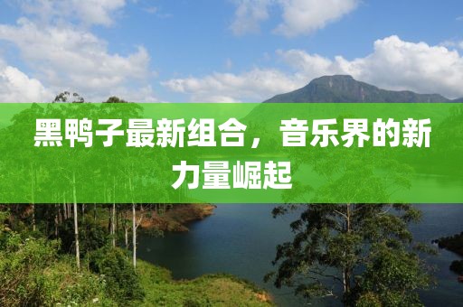 黑鸭子最新组合，音乐界的新力量崛起
