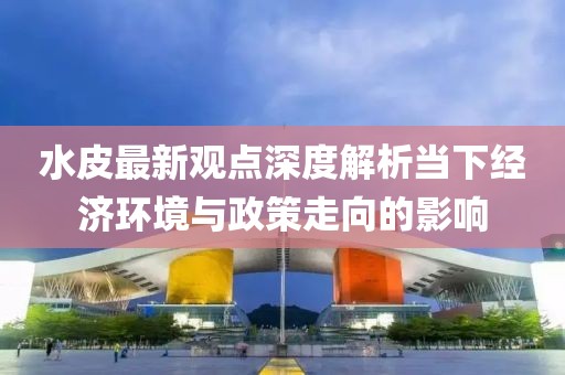 水皮最新观点深度解析当下经济环境与政策走向的影响