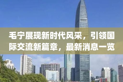 毛宁展现新时代风采，引领国际交流新篇章，最新消息一览