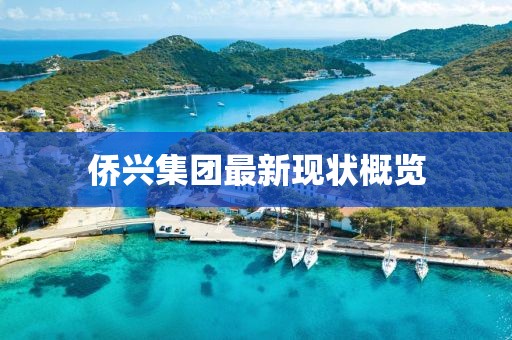 侨兴集团最新现状概览