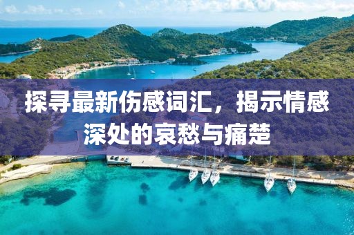 探寻最新伤感词汇，揭示情感深处的哀愁与痛楚