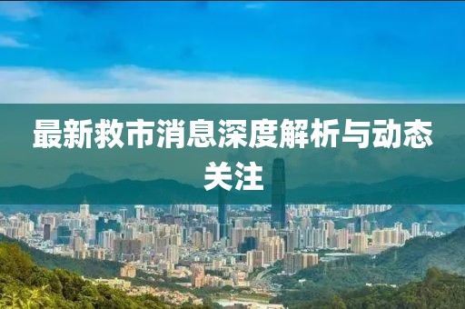 最新救市消息深度解析与动态关注