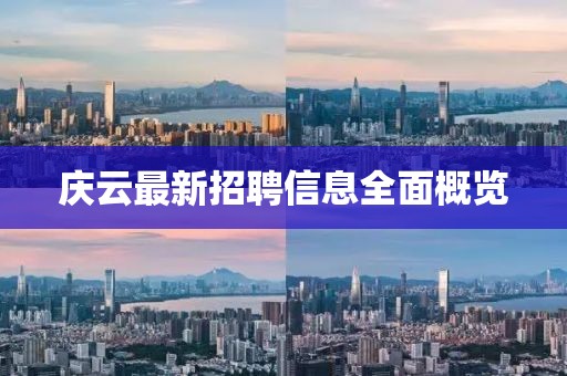 庆云最新招聘信息全面概览