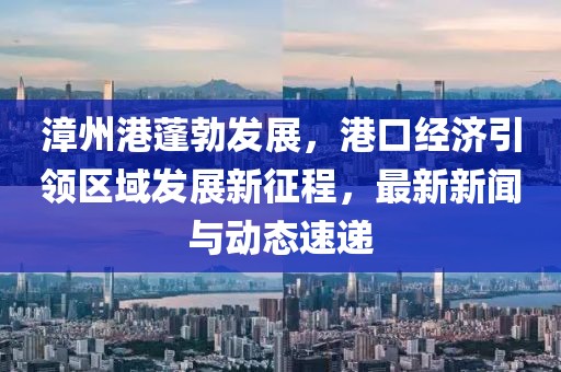 漳州港蓬勃发展，港口经济引领区域发展新征程，最新新闻与动态速递
