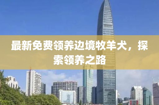 最新免费领养边境牧羊犬，探索领养之路