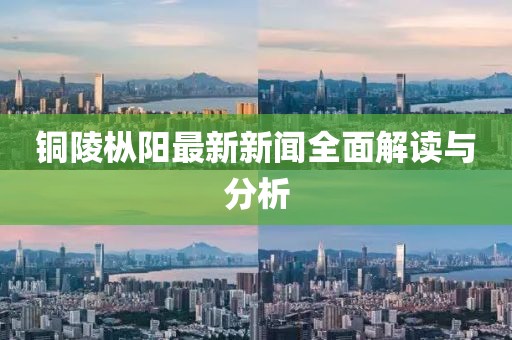 铜陵枞阳最新新闻全面解读与分析