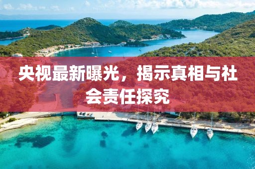 央视最新曝光，揭示真相与社会责任探究