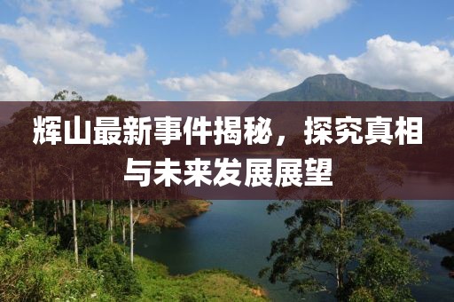 辉山最新事件揭秘，探究真相与未来发展展望