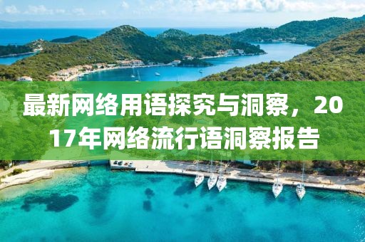最新网络用语探究与洞察，2017年网络流行语洞察报告