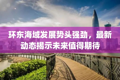 环东海域发展势头强劲，最新动态揭示未来值得期待